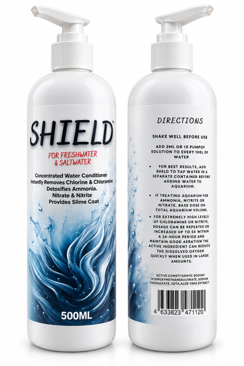 Shield